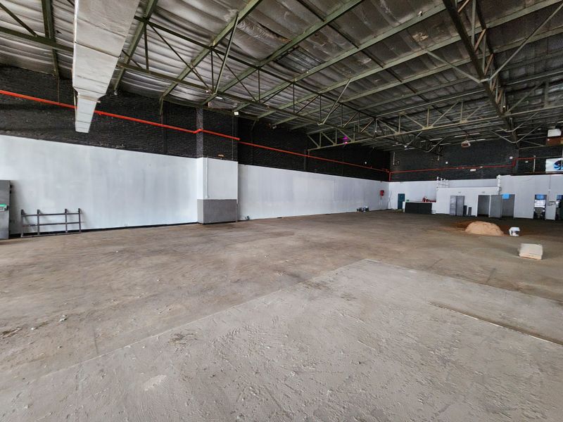 Spacious open-plan retail warehouse featuring high exposed ceilings, industrial steel trusses, and durable concrete flooring, suitable for various commercial or retail applications.