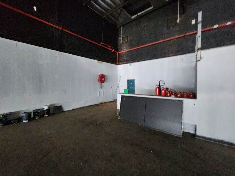 An empty industrial utility space featuring exposed fire safety infrastructure, high ceilings, and concrete flooring, suitable for storage or workshop use.