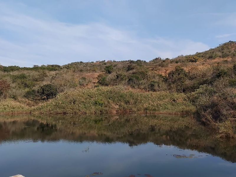 A scenic view of a natural dam set against a rolling hillside landscape on the small holding.