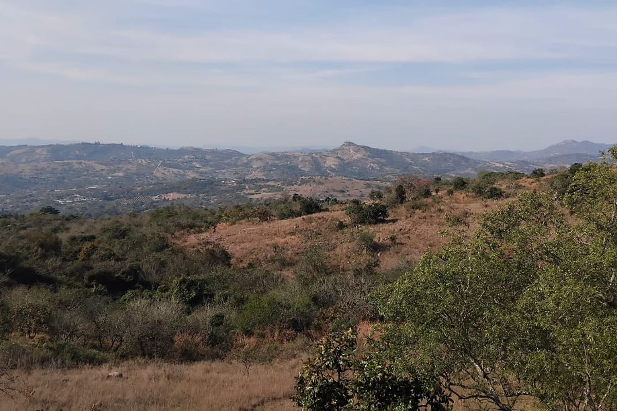 Expansive scenic landscape view overlooking rolling hills and natural vegetation, showcasing the rural character of the small holding.