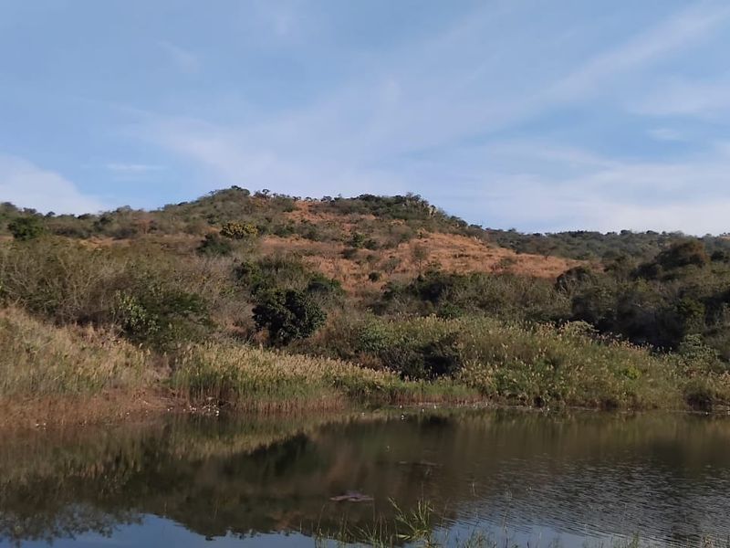 A scenic view of a natural pond set against a backdrop of rolling hills and indigenous vegetation on the small holding.