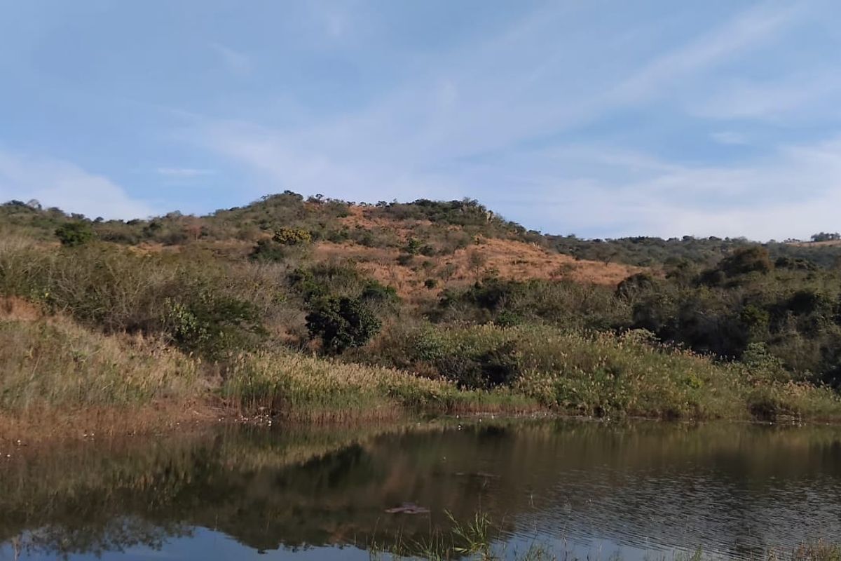 A scenic view of a natural pond set against a backdrop of rolling hills and indigenous vegetation on the small holding.