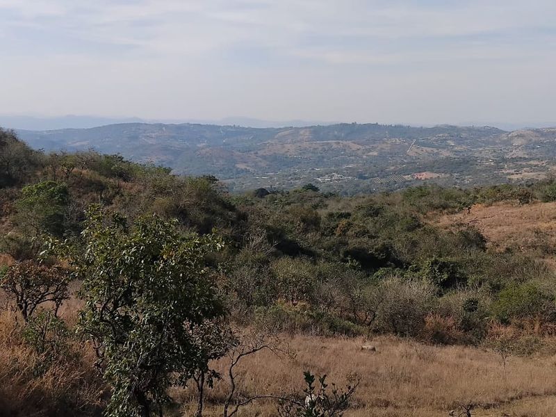 Expansive panoramic landscape view overlooking rolling hills and natural vegetation, showcasing the scenic rural setting of the small holding.