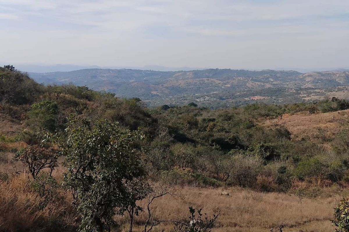 Expansive panoramic landscape view overlooking rolling hills and natural vegetation, showcasing the scenic rural setting of the small holding.