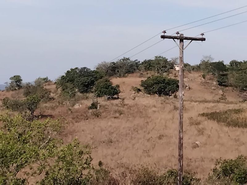 A scenic view of the natural landscape featuring rolling hills, indigenous vegetation, and overhead utility infrastructure.
