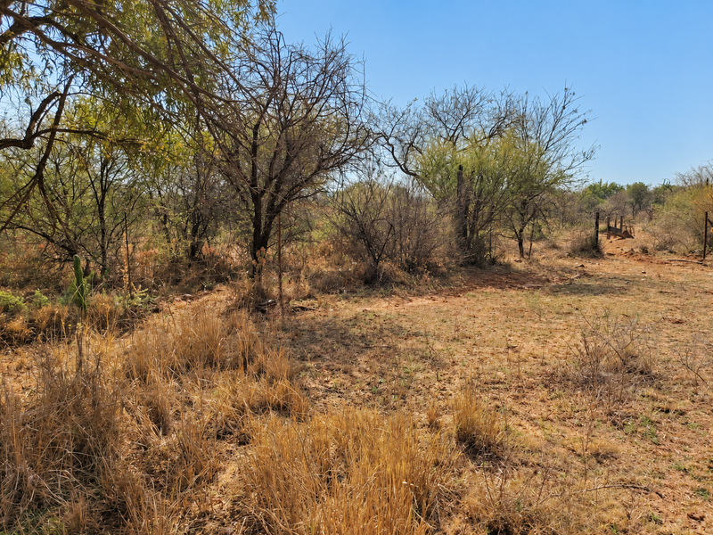 A view of the vacant commercial land featuring natural vegetation, dry grass, and existing wire boundary fencing.