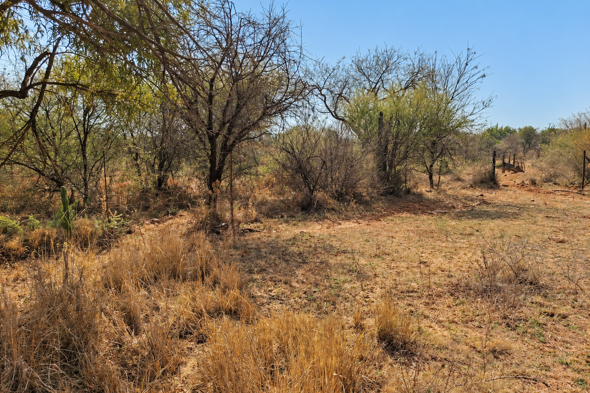 A view of the vacant commercial land featuring natural vegetation, dry grass, and existing wire boundary fencing.