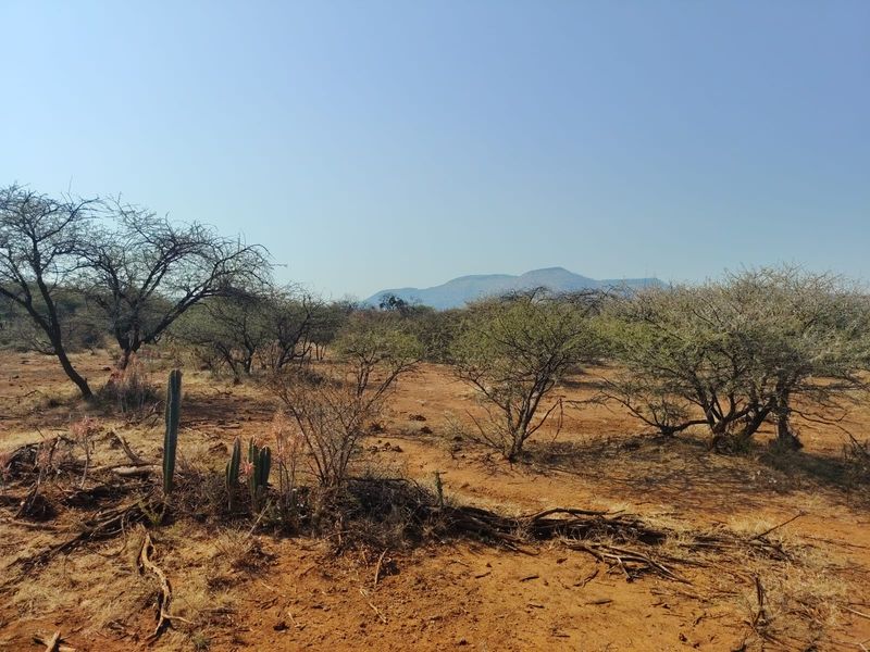 A scenic view of the vacant commercial land featuring native desert vegetation and distant mountain vistas.