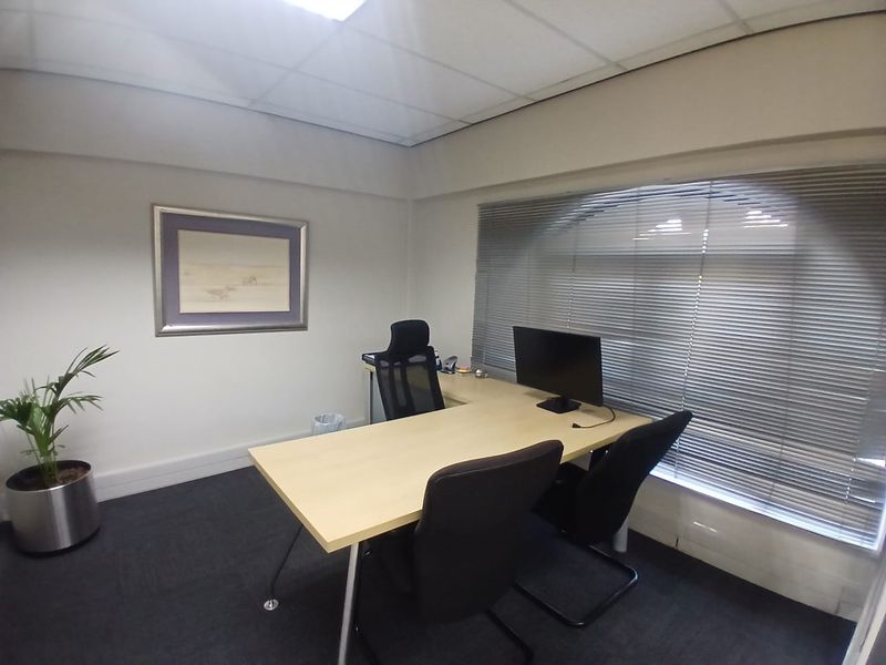 A functional office space featuring a suspended ceiling, recessed lighting, carpeted flooring, and large windows fitted with venetian blinds.