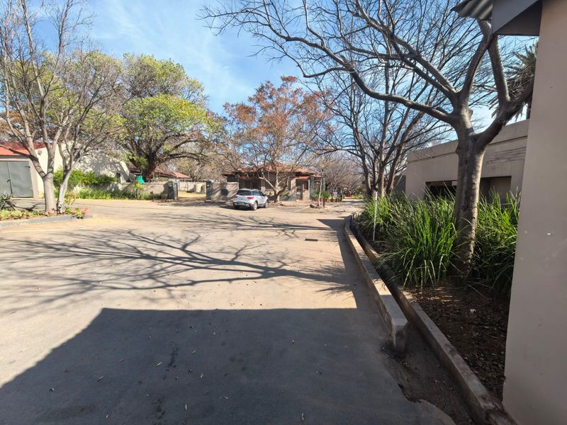 A view of the paved driveway and surrounding landscaped grounds within the business property complex.