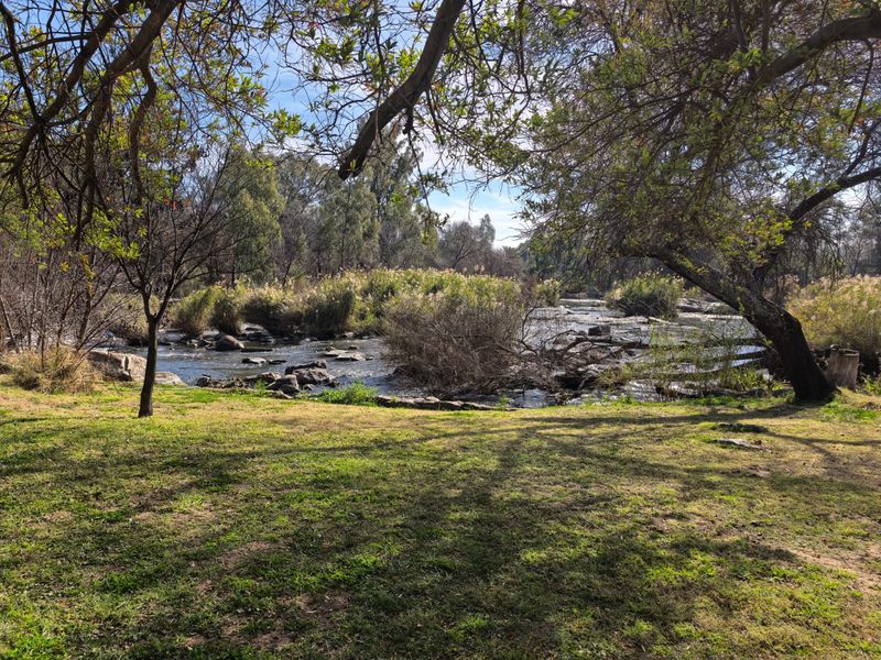 A scenic view of a natural river flowing through a landscaped garden area with mature trees and established vegetation.