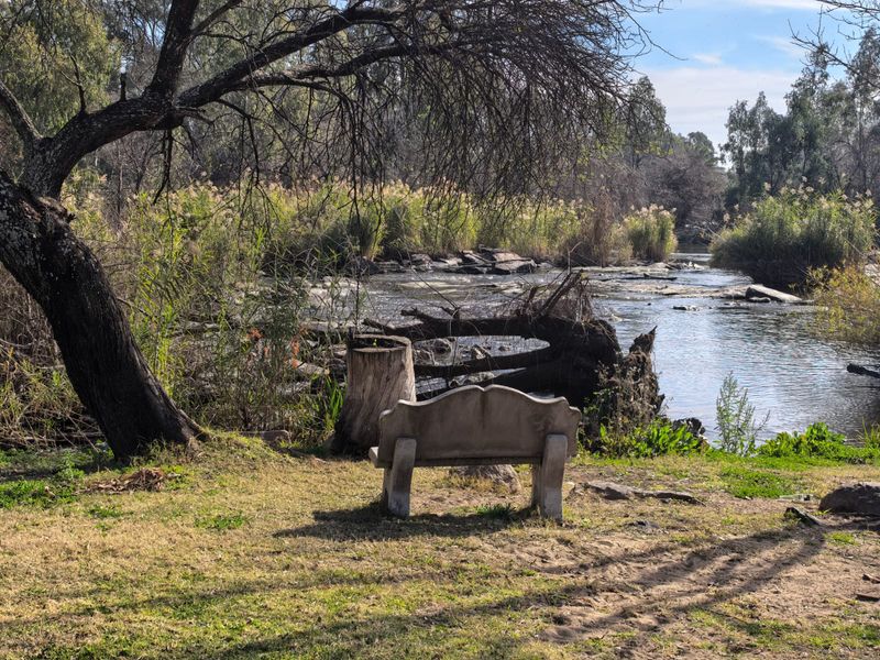 A scenic view of the riverbank featuring natural landscaping and mature trees, providing a tranquil outdoor setting.