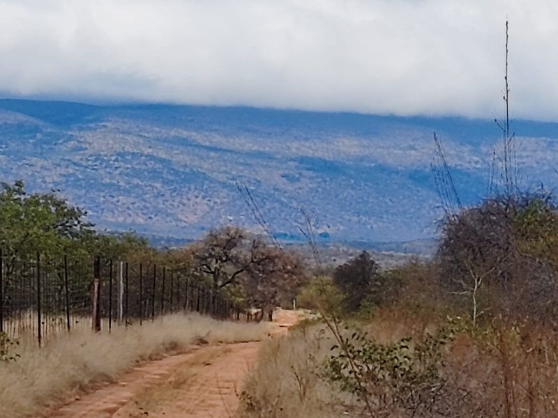 A scenic view of the surrounding landscape and mountains from the farm property, featuring a dirt access track and perimeter fencing.
