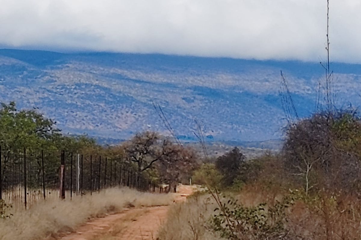 A scenic view of the surrounding landscape and mountains from the farm property, featuring a dirt access track and perimeter fencing.