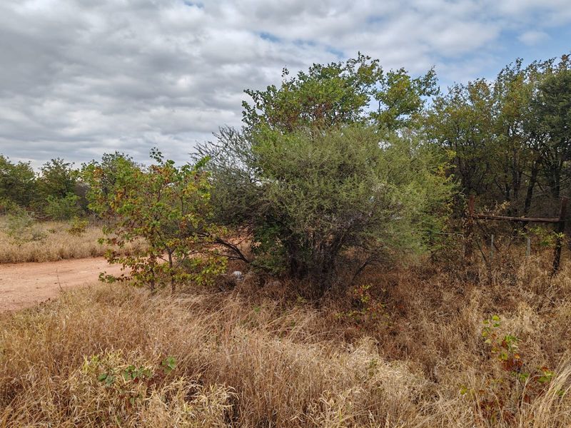 A view of the natural farm landscape featuring native trees, dry grass, and a dirt access road.