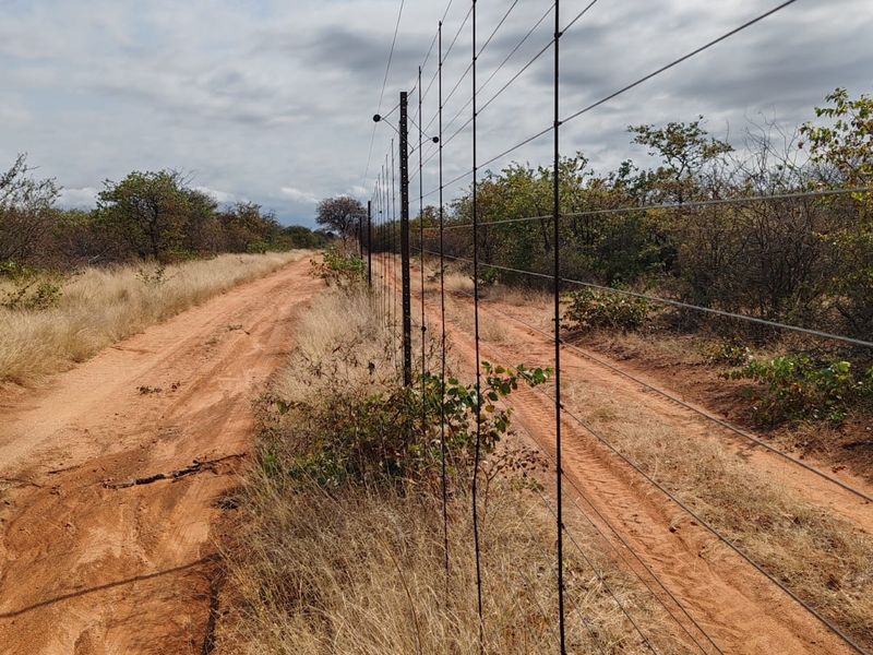A view of a dirt farm track bordered by a wire fence and natural bushveld vegetation.