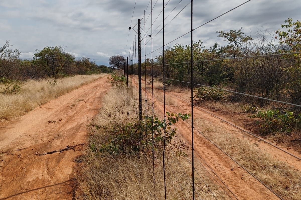 A view of a dirt farm track bordered by a wire fence and natural bushveld vegetation.