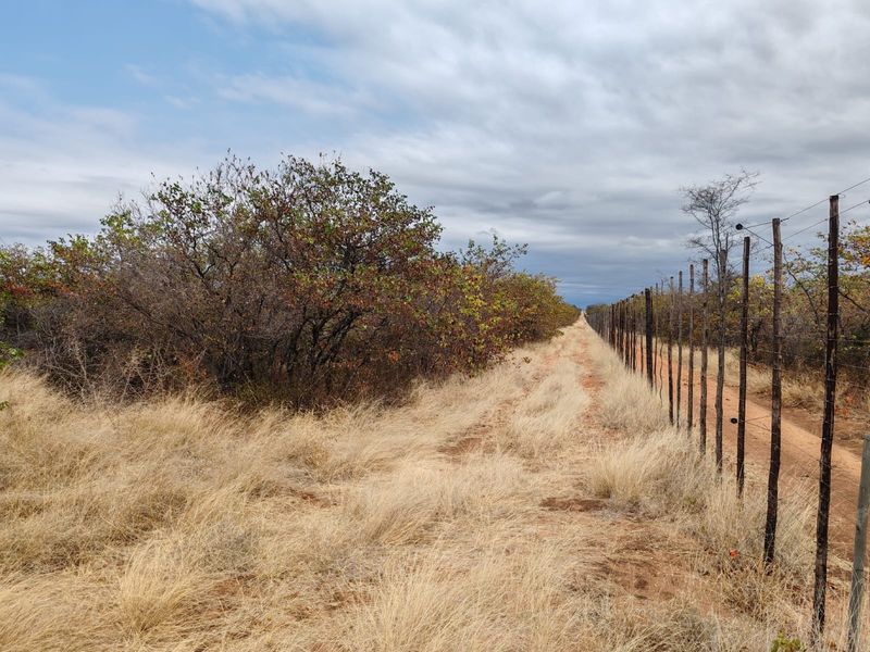 A view of the farm perimeter featuring a wire fence line bordering a dirt track and natural bushveld vegetation.