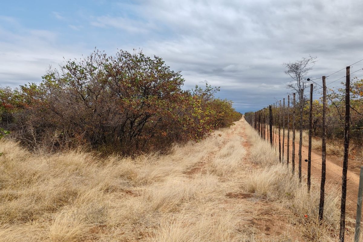 A view of the farm perimeter featuring a wire fence line bordering a dirt track and natural bushveld vegetation.