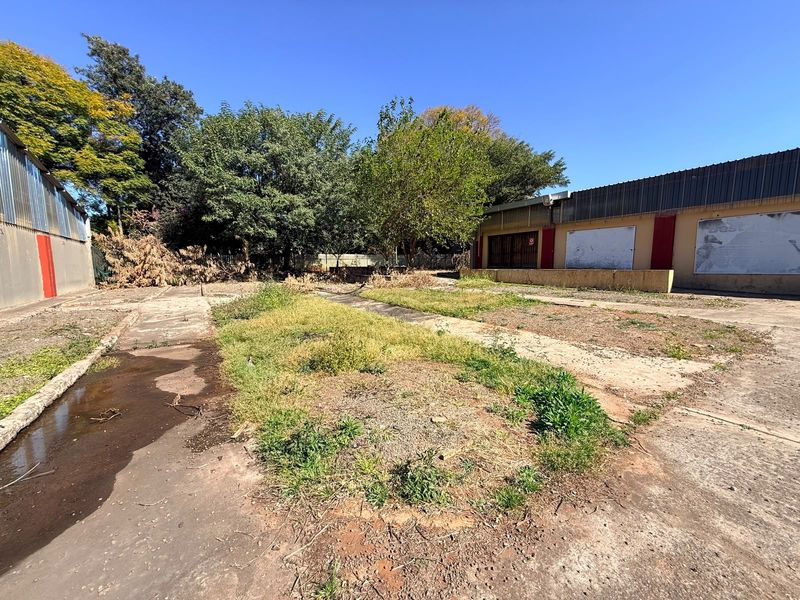 An industrial rear yard area featuring concrete paving, metal building cladding, and significant overgrown vegetation requiring maintenance and site clearance.