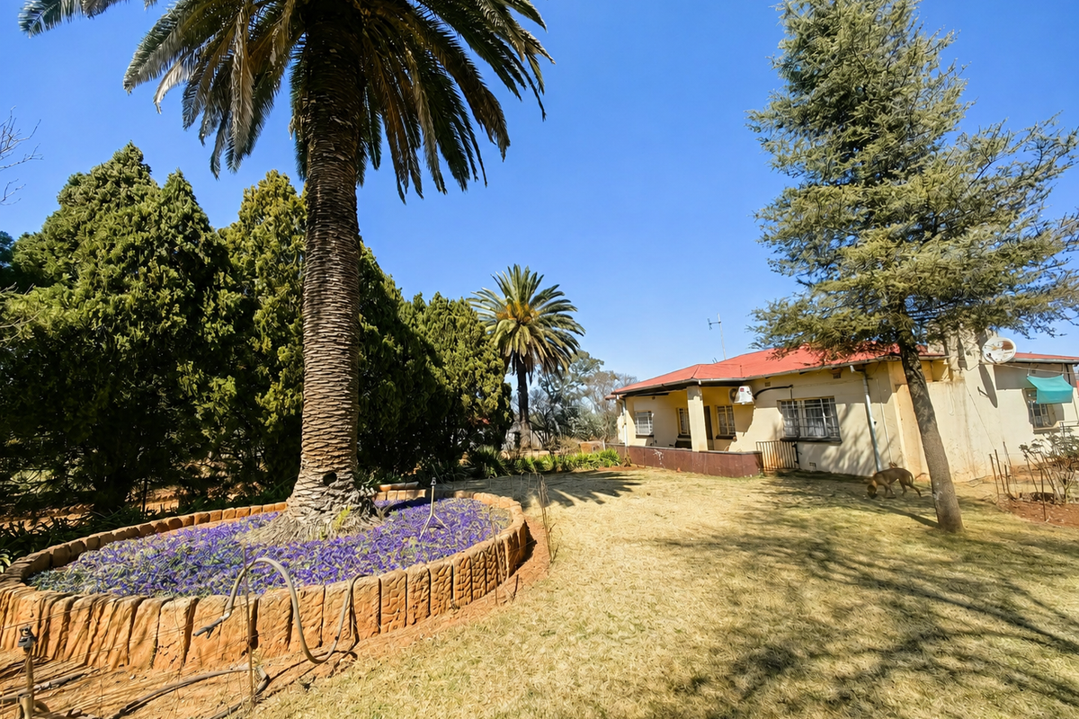 Rear view of the farmhouse featuring a large palm tree, established garden beds, and a metal roof structure with security-fitted windows.