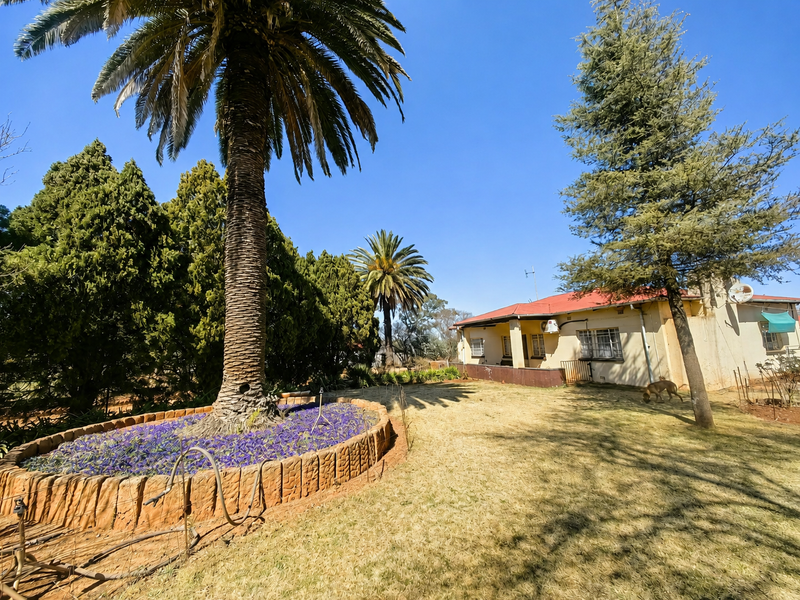 Rear view of the farmhouse featuring a large palm tree, established garden beds, and a metal roof structure with security-fitted windows.
