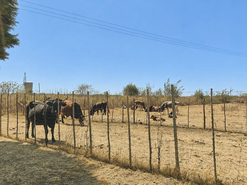 A view of the farm grounds featuring wire fencing, wooden posts, and a water tank in the distance.