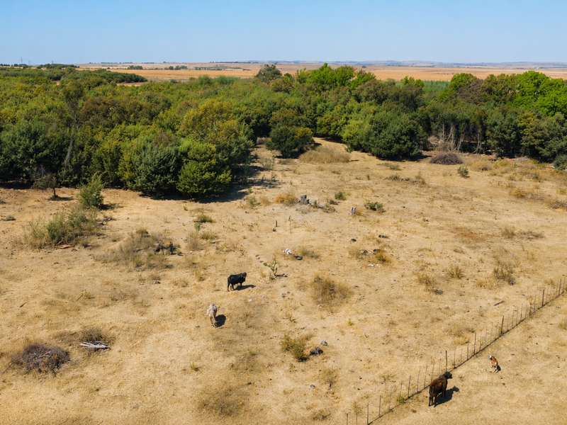 An aerial view of a large farm property featuring open grazing land, wire fencing, and established tree lines.