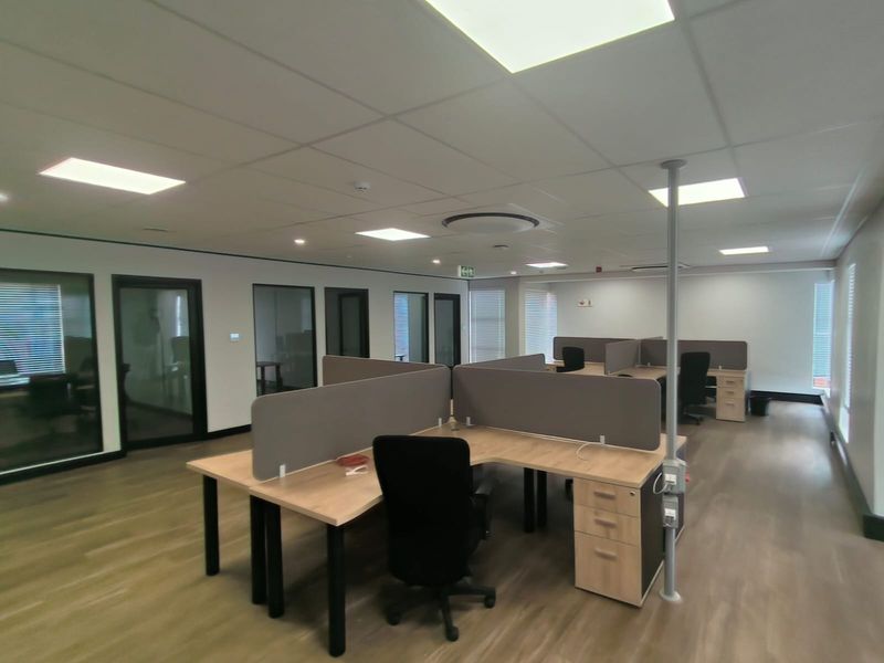 Modern open-plan office space featuring suspended ceilings, recessed lighting, glass-partitioned private offices, and durable laminate flooring.