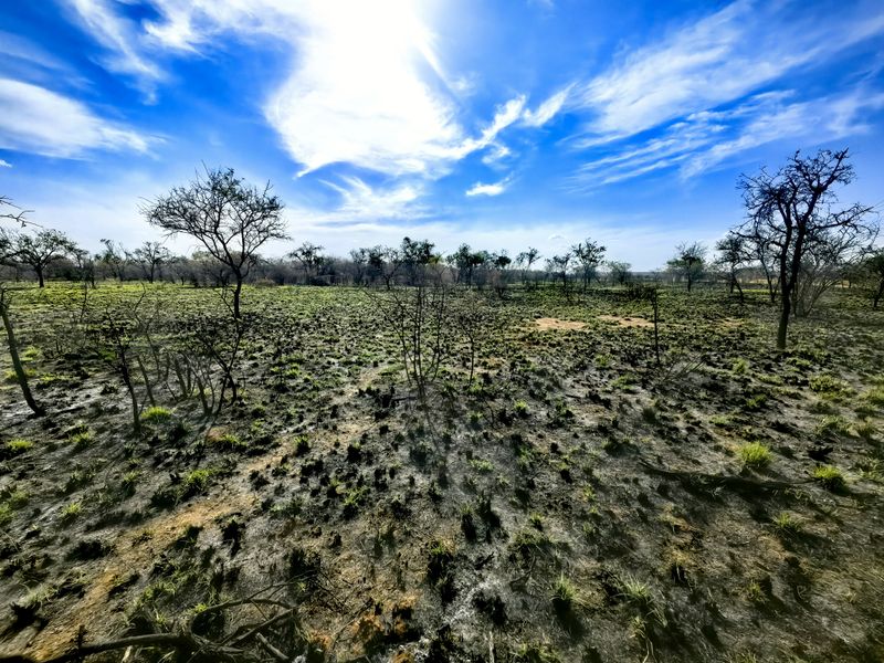 An expansive view of vacant commercial land featuring native vegetation and signs of recent fire damage across the terrain.