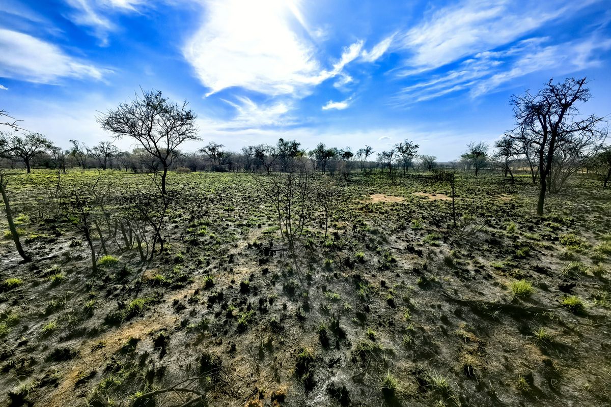 An expansive view of vacant commercial land featuring native vegetation and signs of recent fire damage across the terrain.