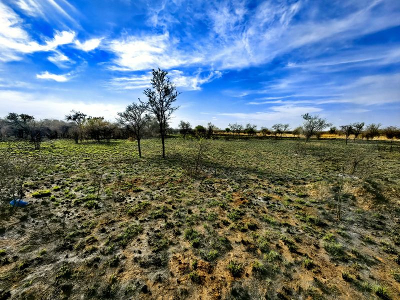 A wide-angle view of a vacant commercial land plot featuring natural vegetation and open terrain under a bright blue sky.