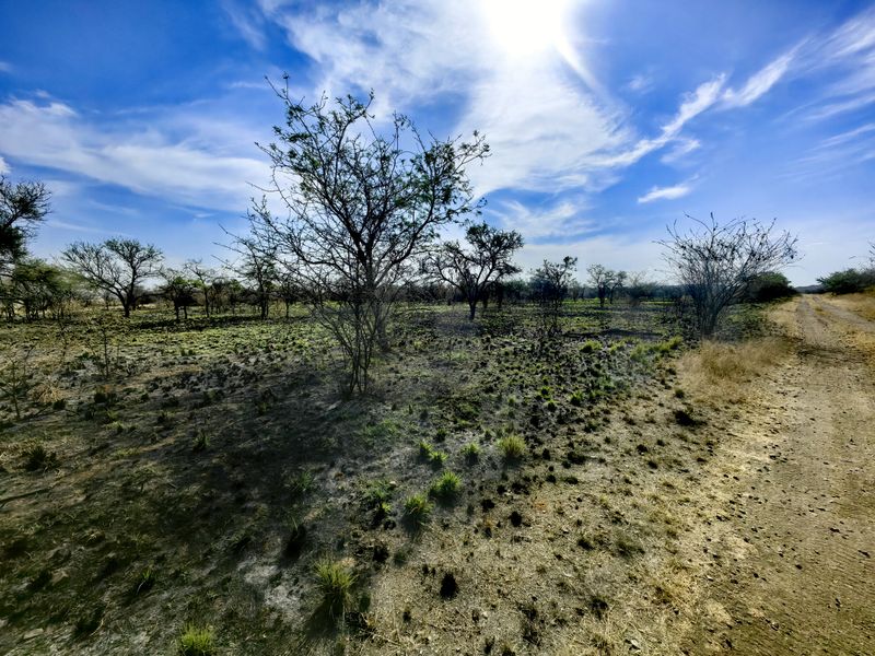 A view of a vacant commercial land plot featuring native vegetation and an unpaved access road under a clear sky.