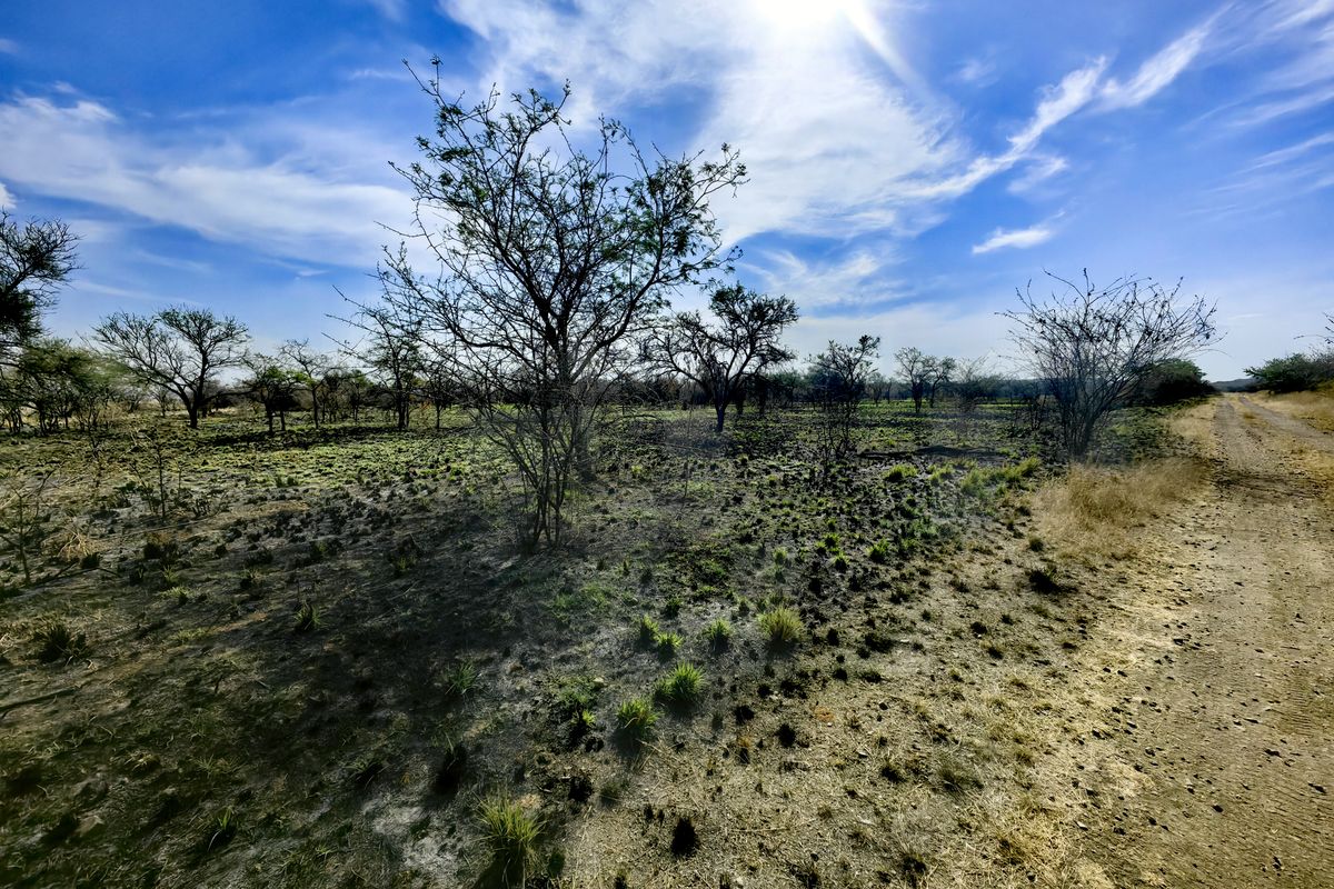 A view of a vacant commercial land plot featuring native vegetation and an unpaved access road under a clear sky.