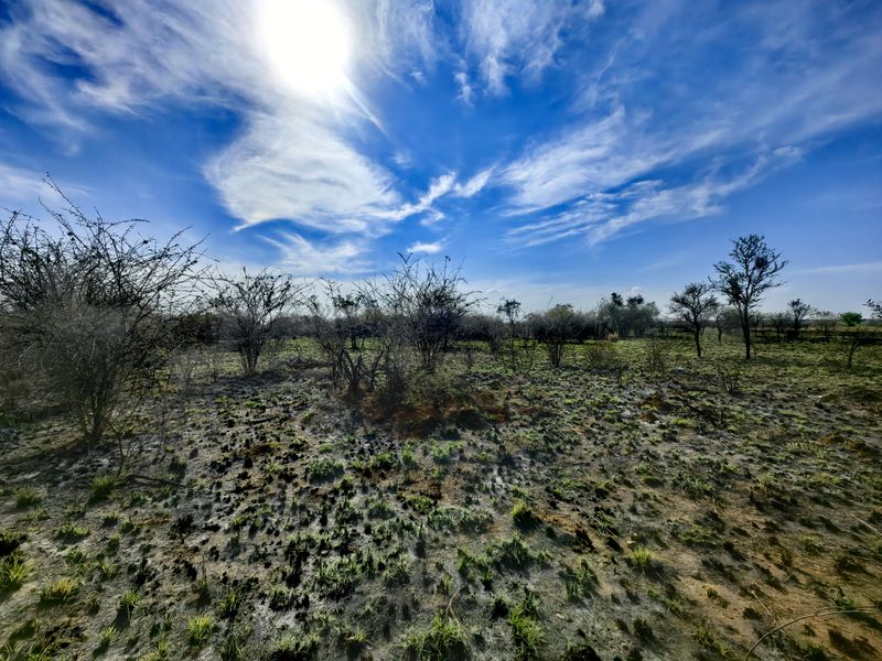A wide-angle view of vacant commercial land featuring natural vegetation and open terrain under a bright blue sky.