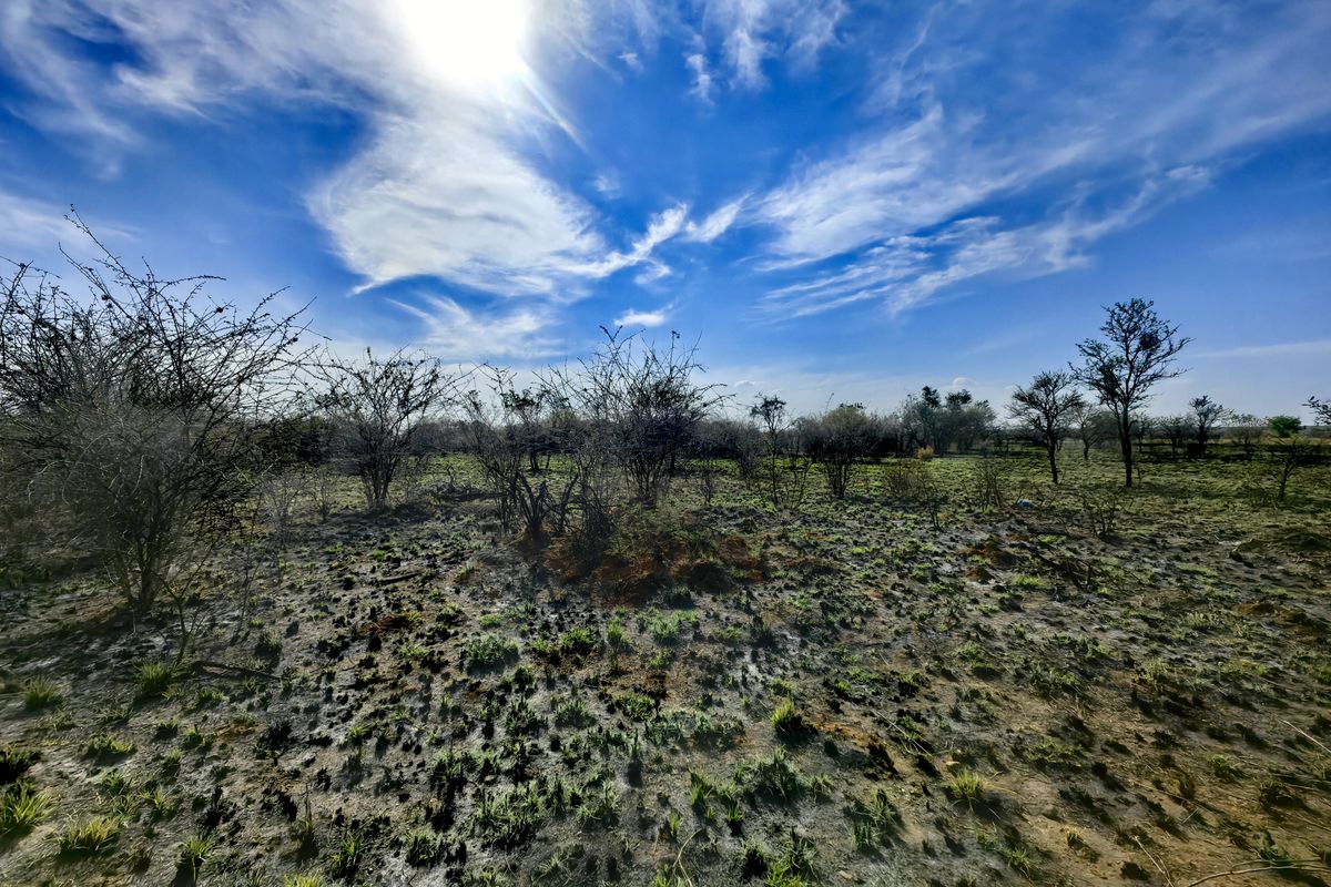 A wide-angle view of vacant commercial land featuring natural vegetation and open terrain under a bright blue sky.