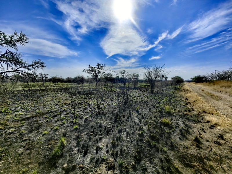 A wide-angle view of vacant commercial land featuring natural vegetation and an adjacent dirt access road under a bright sky.