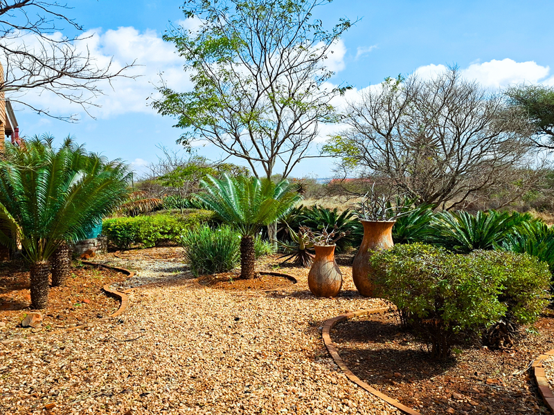 A well-maintained garden area featuring established cycads, gravel pathways with brick edging, and a face-brick exterior wall of the main dwelling.