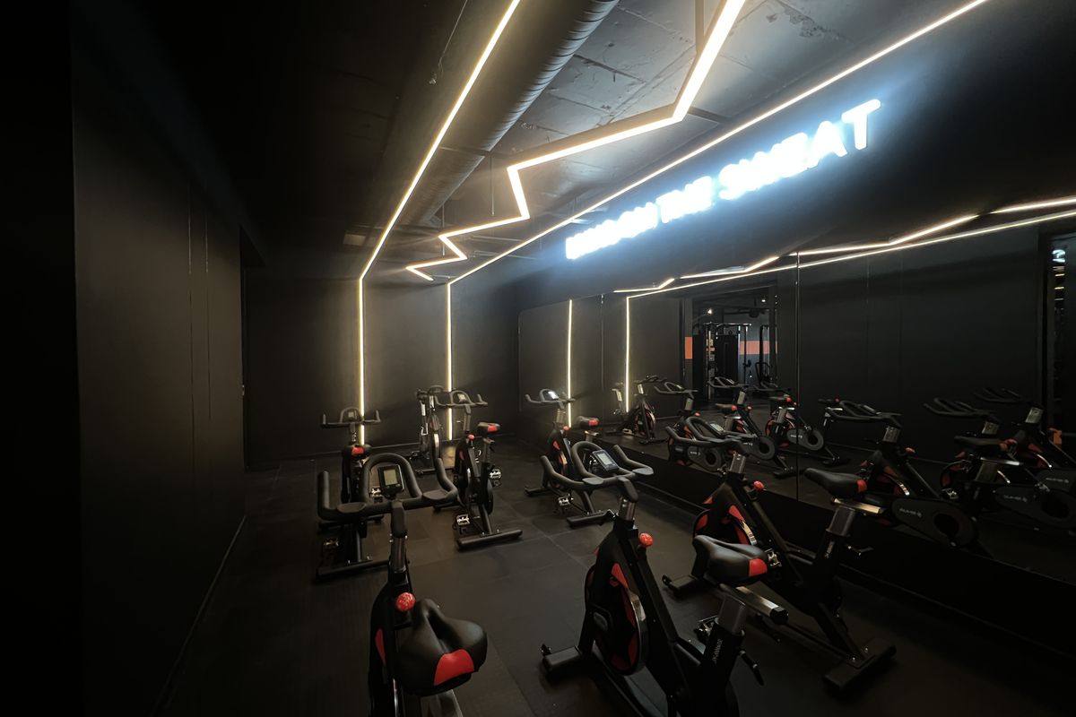 Modern professional gym facility featuring sleek black finishes, integrated linear LED lighting, and a large wall mirror for an immersive workout experience.