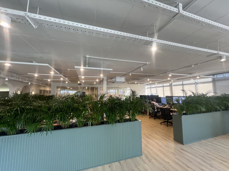 Modern open-plan office space featuring exposed ceilings, track lighting, wood-look laminate flooring, and integrated built-in planters for a professional workspace environment.