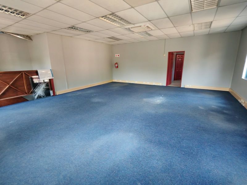 An empty office space featuring blue carpeting, a suspended ceiling with recessed lighting, and a fire extinguisher.
