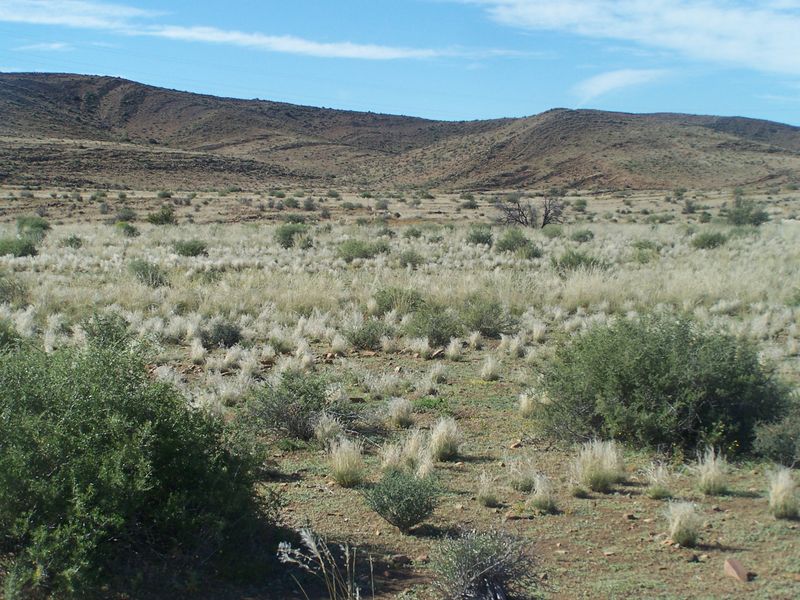 A wide-angle view of the expansive, arid landscape featuring natural scrub vegetation and rolling hills in the distance.