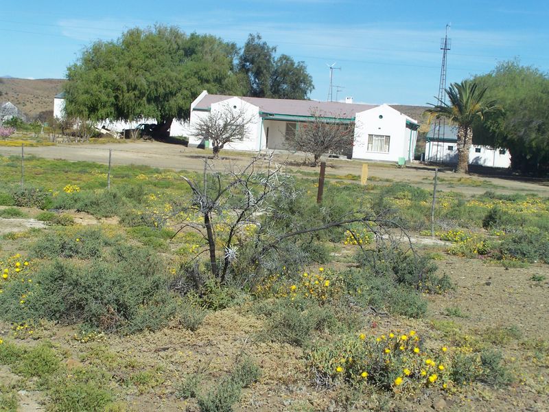 A view of the farmstead exterior featuring a single-story dwelling with a metal roof, surrounded by open veld and rural infrastructure.