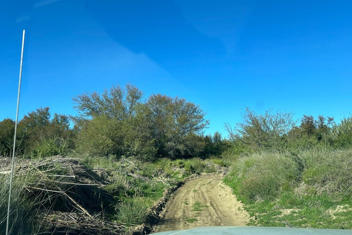 A view of a dirt access road winding through natural farm vegetation under a clear blue sky.