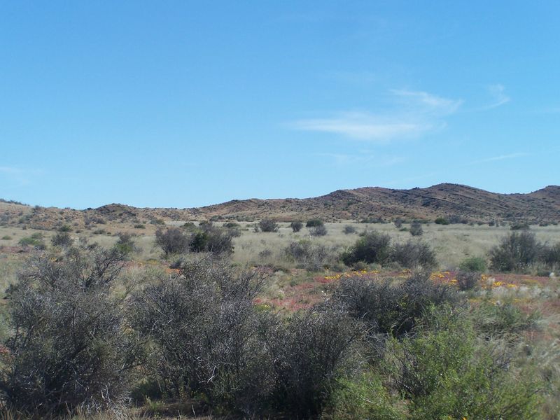 A scenic view of the expansive, arid farm landscape featuring natural vegetation and rolling hills under a clear blue sky.