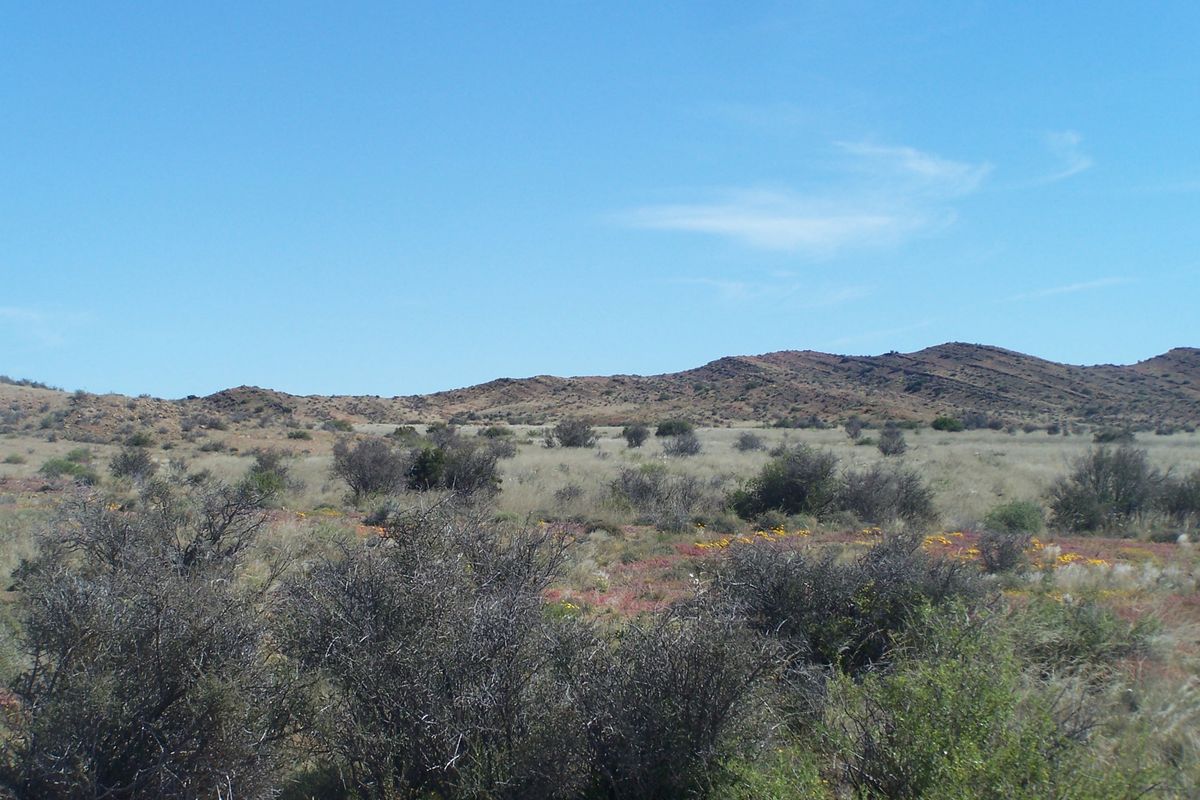 A scenic view of the expansive, arid farm landscape featuring natural vegetation and rolling hills under a clear blue sky.