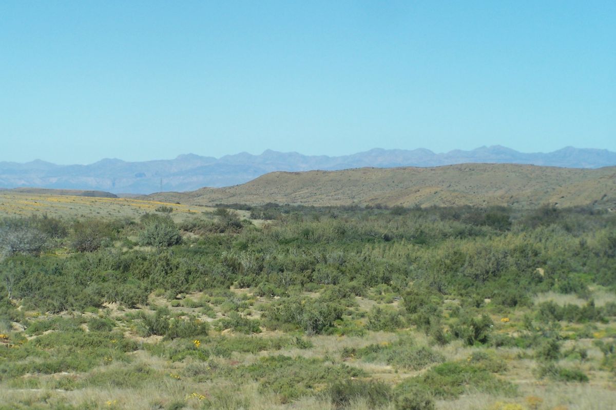 A scenic landscape view showcasing the expansive natural terrain and distant mountain ranges characteristic of the farm property.