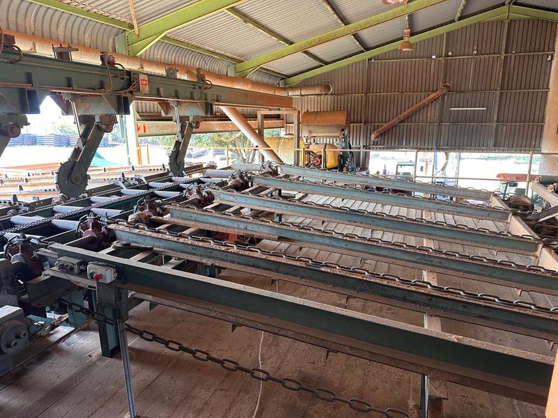 Industrial utility space featuring heavy-duty conveyor machinery and steel structural framing, suitable for agricultural or processing operations.