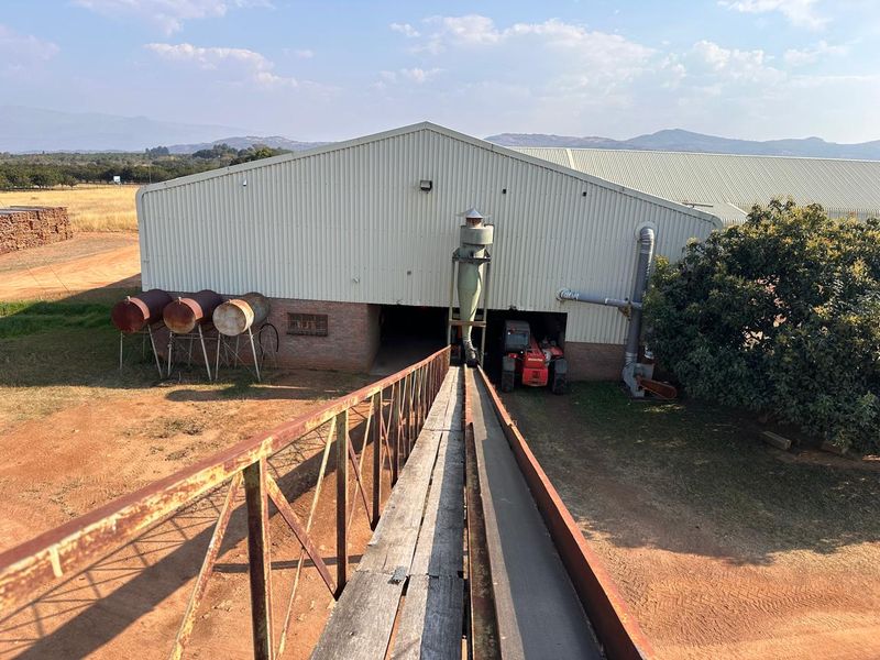 Exterior view of a large agricultural shed featuring a metal conveyor system, cyclone separator, and external fuel storage tanks on a farm property.