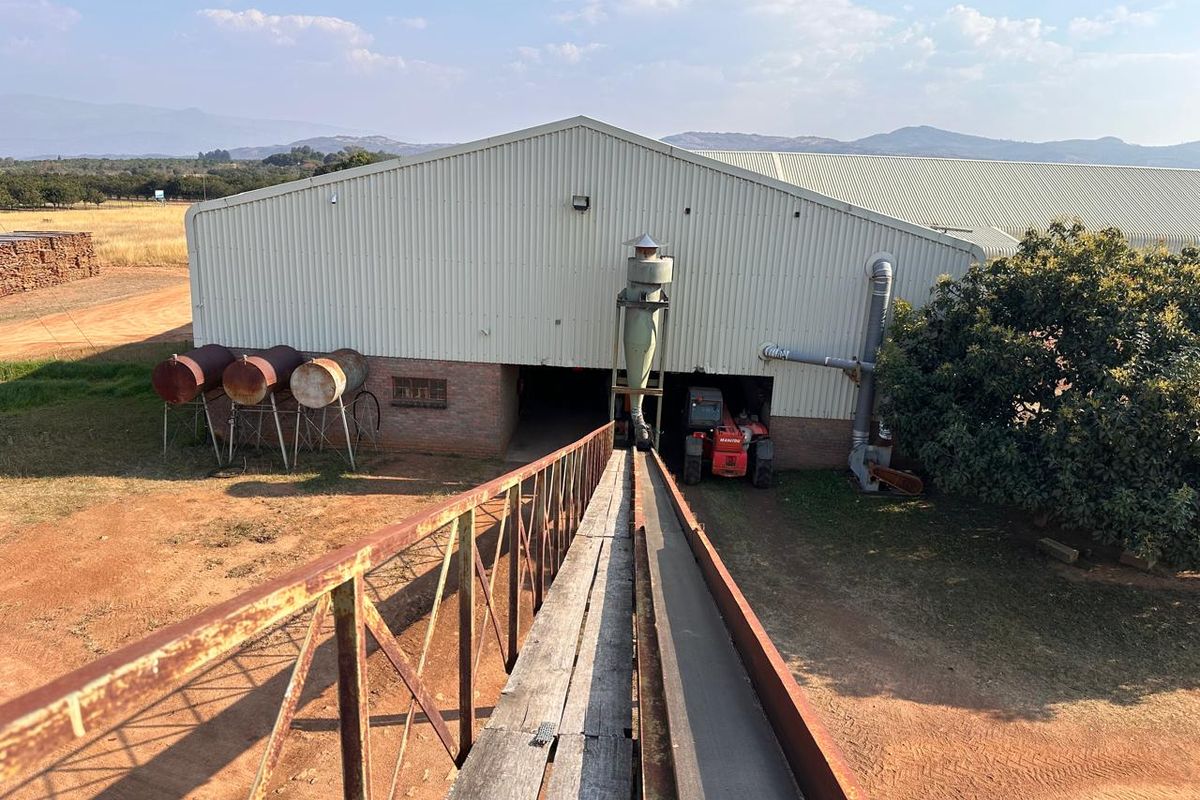Exterior view of a large agricultural shed featuring a metal conveyor system, cyclone separator, and external fuel storage tanks on a farm property.